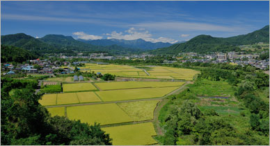 鄉(xiāng)村振興規(guī)劃關(guān)于農(nóng)民