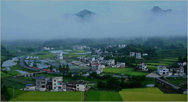 鄉(xiāng)村振興規(guī)劃關(guān)于農(nóng)業(yè)
