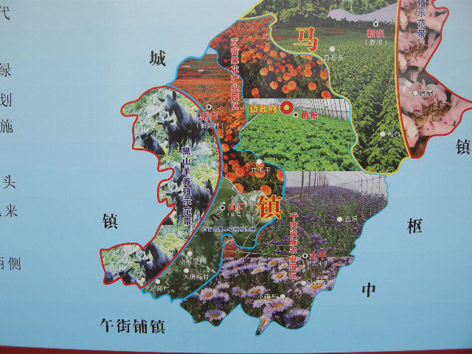 黑山羊產業發展規劃