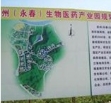 泉州永春生物醫藥產業發展規劃
