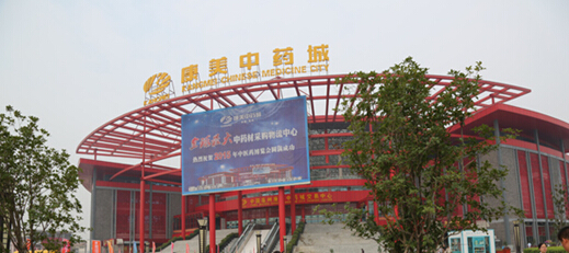 亳州市現代中藥城規劃案例