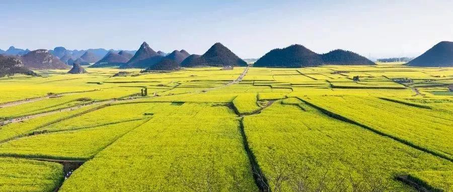 文旅振興鄉(xiāng)村規(guī)劃,文旅振興鄉(xiāng)村編制