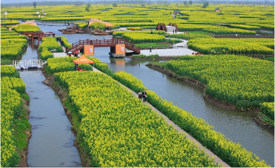 2019年農(nóng)業(yè)產(chǎn)業(yè)項目,2019年農(nóng)業(yè)項目編制,2019年農(nóng)業(yè)項目補貼