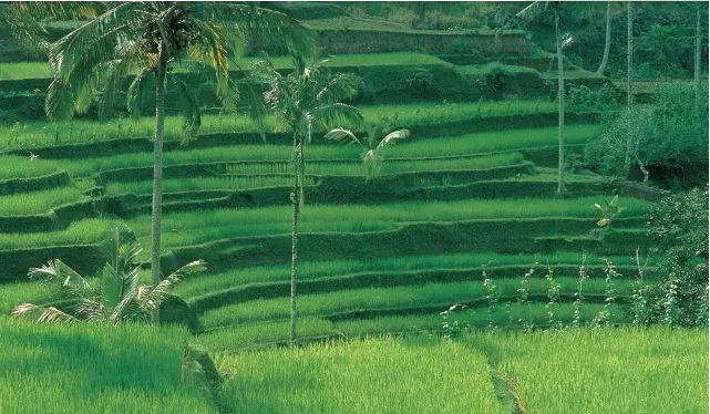 康養(yǎng)特色小鎮(zhèn)規(guī)劃,康養(yǎng)特色小鎮(zhèn)土地政策