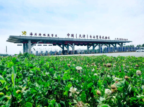 口岸經濟轉型升級規劃,天津東疆保稅港區轉型升級