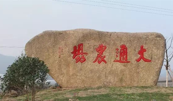 田園綜合體模式創新方案