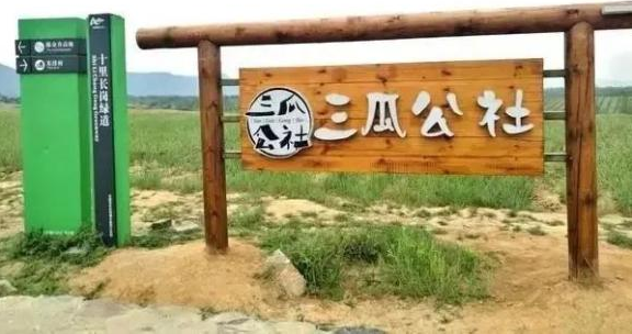 安徽合肥“三瓜公社”鄉村振興,電商特色產業模式