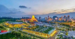 廣西中泰（崇左）產業園招商引資對策及工作中的不足