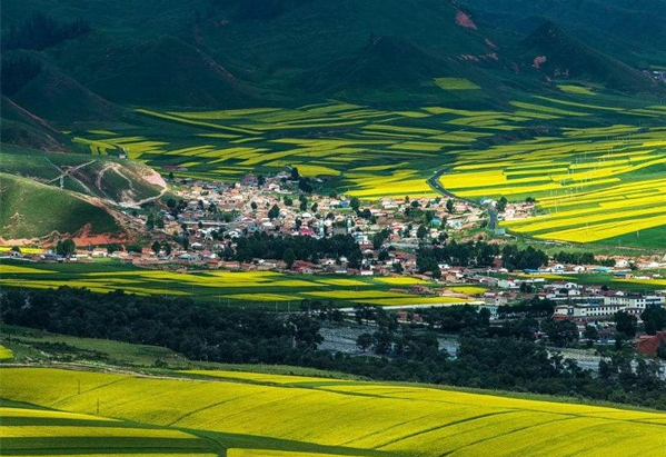 西寧鄉(xiāng)村振興示范村,鄉(xiāng)村振興示范村規(guī)劃
