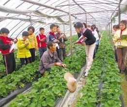 休閑農(nóng)業(yè)規(guī)劃