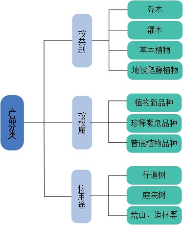 圖1 苗木產品分類情況