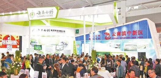 大健康產業確定為昆明市未來重點發展的戰略性新興產業