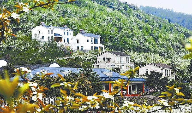 德陽市品牌創(chuàng)建 促進鄉(xiāng)村旅游轉(zhuǎn)型升級