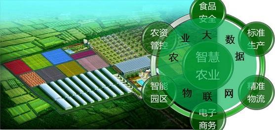 建立農業大數據智能分析及管理服務平臺的重要性越來越凸顯