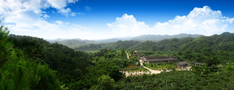 正宗六堡茶原產(chǎn)地核心產(chǎn)區(qū)