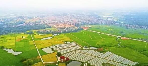 株洲特色小鎮(zhèn) 到底怎么建？ 