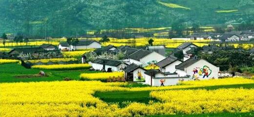 中國鄉村休閑旅游九大新業態，多個成功案例剖析解讀