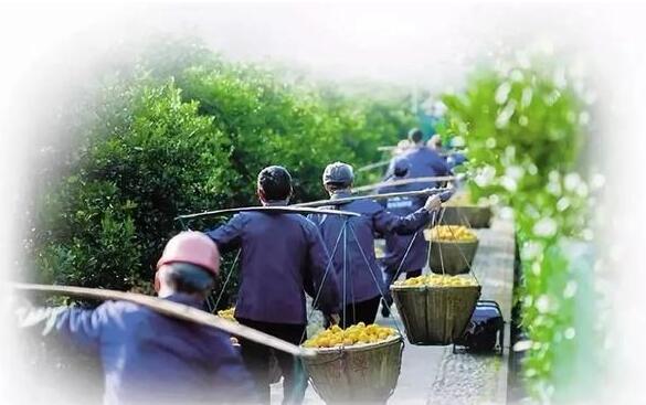 “旅游+”“住宿+”新模式，促進(jìn)產(chǎn)業(yè)深度融合發(fā)展