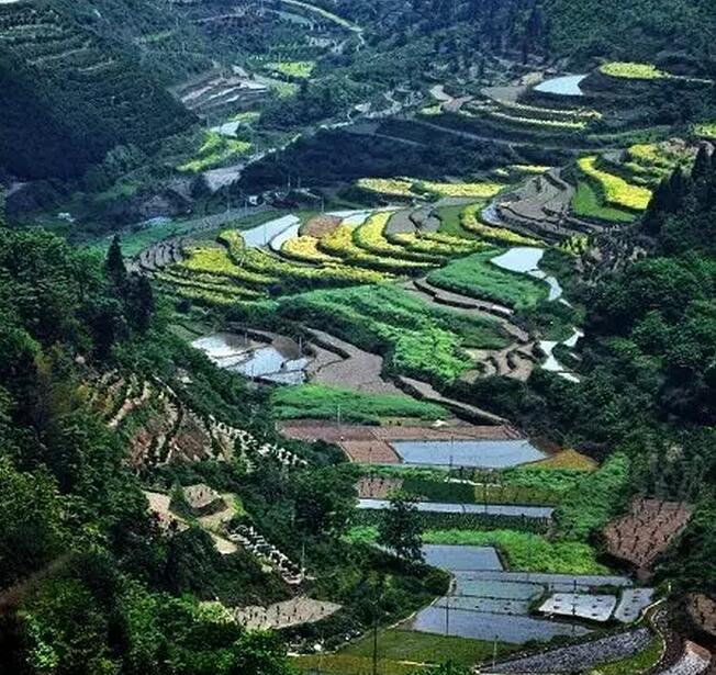 田園綜合體將成為鄉(xiāng)村振興戰(zhàn)略的支點(diǎn)