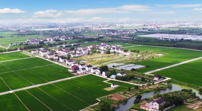 目前東莞市已經(jīng)初步搭建起“1+1+N”的鄉(xiāng)村振興政策體系