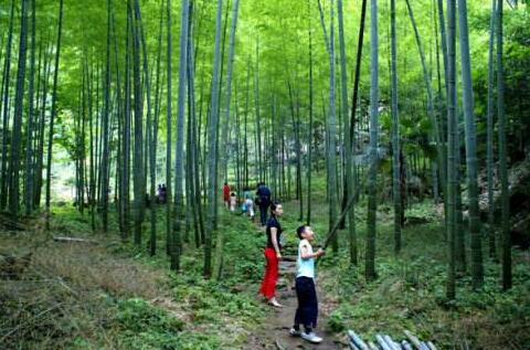 “中國竹器之鄉”羊樓司鎮，成為湖南特色產業小鎮建設的“排頭兵”