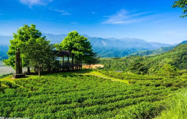 鄉(xiāng)村振興戰(zhàn)略：休閑農(nóng)業(yè)園區(qū)如何申請申報(bào)政策補(bǔ)貼？