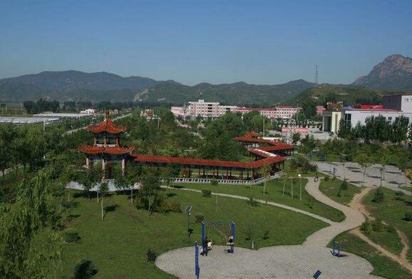 天津寧河區(qū)振興鄉(xiāng)村戰(zhàn)略重要舉措：大力發(fā)展農(nóng)村電商