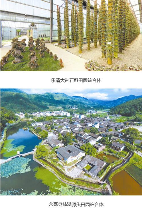 溫州市共謀劃了109條鄉村振興示范帶，今年率先啟動22條示范帶的建設