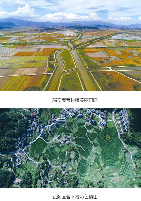 溫州市共謀劃了109條鄉村振興示范帶，今年率先啟動22條示范帶的建設