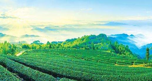 山東省總工會出臺了《山東工會參與鄉村振興戰略實施十項措施》