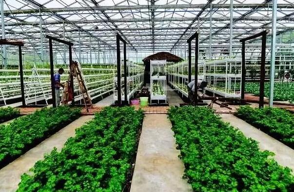 如何又快又好建設農業高新技術產業示范區？