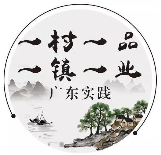 廣東推動鄉村振興