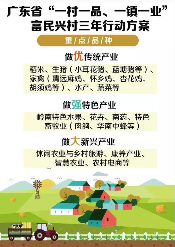 廣東推動鄉村振興
