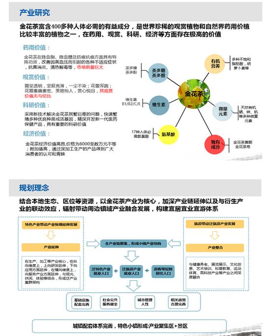 金花茶小鎮（位于防城區華石鎮）