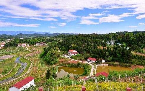 甘肅酒泉鄉(xiāng)村振興戰(zhàn)略：農(nóng)村“三變”改革試點(diǎn)工作