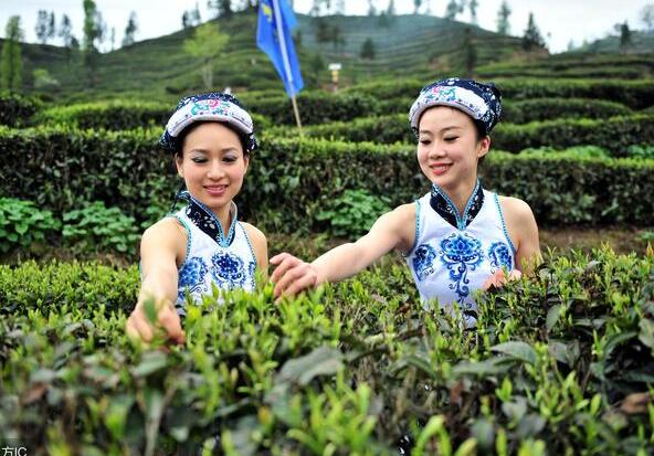 鄉(xiāng)村振興：發(fā)展現(xiàn)代全產(chǎn)業(yè)生態(tài)農(nóng)業(yè)面臨哪些問題?