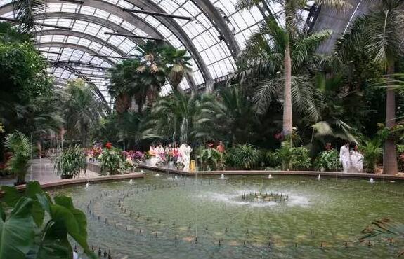 天津市西青區(qū)熱帶植物觀光園