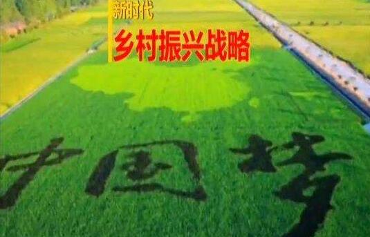 實施鄉(xiāng)村振興戰(zhàn)略第一個五年工作具體部署