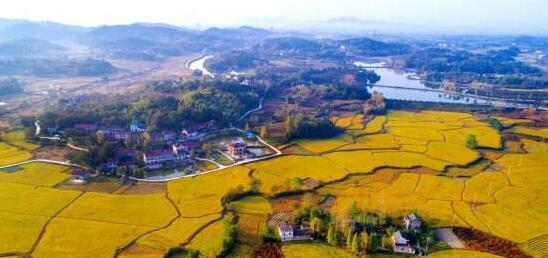 我國(guó)出臺(tái)的第一個(gè)全面推進(jìn)鄉(xiāng)村振興戰(zhàn)略的五年規(guī)劃