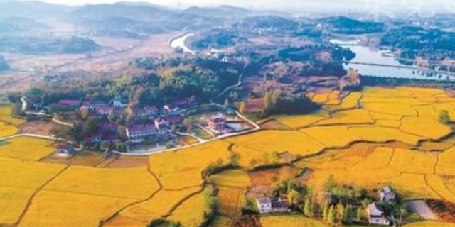 《鄉村振興戰略規劃（2018－2022年）》五年發展戰略部署