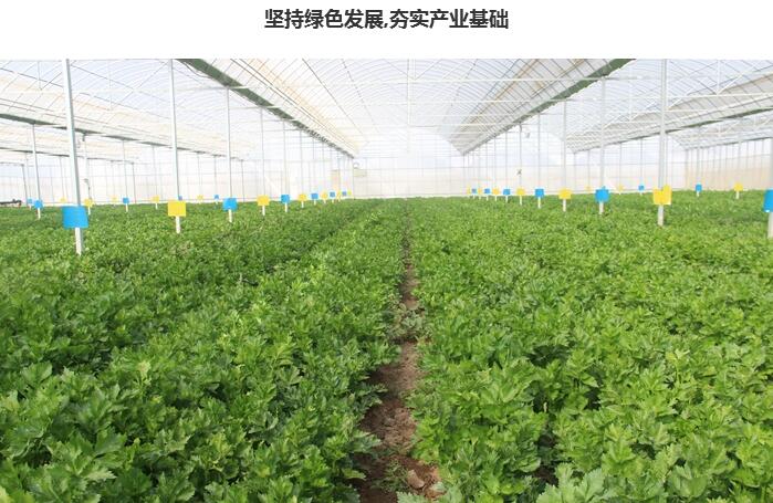 臨澤把生態(tài)宜居、美麗鄉(xiāng)村建設(shè)作為鄉(xiāng)村振興的生命線