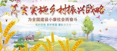 鄉村振興會不會成為下一波少數“精英人群”撈錢的彩頭？