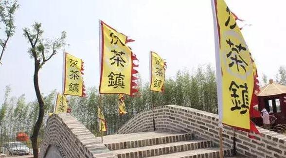中機院帶您看看茯茶小鎮的破局之道