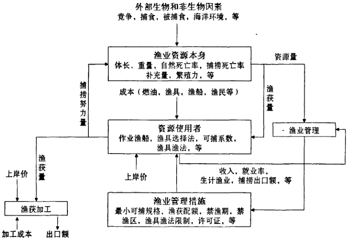 圖1 漁業資源生物經濟模型建立的示意圖 圖1 漁業資源生物經濟模型建立的示意圖