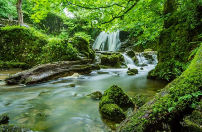 鄉(xiāng)村振興的核心點:規(guī)劃、產(chǎn)業(yè)、人才、農(nóng)民、文化、生態(tài) 鄉(xiāng)村振興的核心點:規(guī)劃、產(chǎn)業(yè)、人才、農(nóng)民、文化、生態(tài)