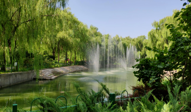 東壩郊野公園露營(yíng)地 東壩郊野公園露營(yíng)地