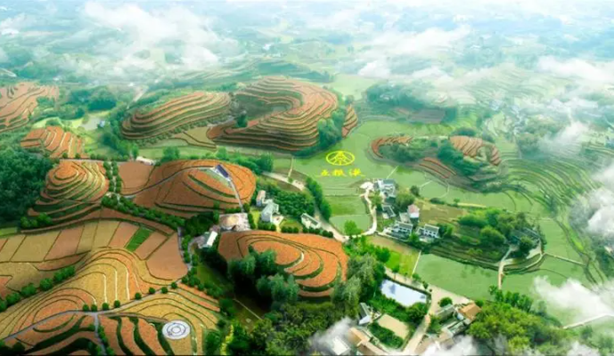 宜賓現(xiàn)代農(nóng)業(yè)園區(qū)發(fā)展現(xiàn)狀,宜賓現(xiàn)代農(nóng)業(yè)園區(qū)發(fā)展問(wèn)題 宜賓現(xiàn)代農(nóng)業(yè)園區(qū)發(fā)展現(xiàn)狀,宜賓現(xiàn)代農(nóng)業(yè)園區(qū)發(fā)展問(wèn)題
