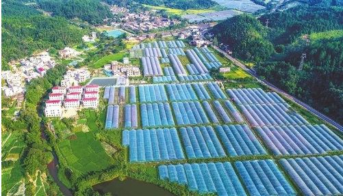 江西省全南縣創新鄉村產業發展路徑探析