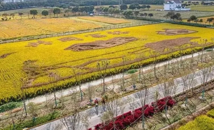 現代農業產業園區雙碳轉型的實施路徑及案例分析 現代農業產業園區雙碳轉型的實施路徑及案例分析